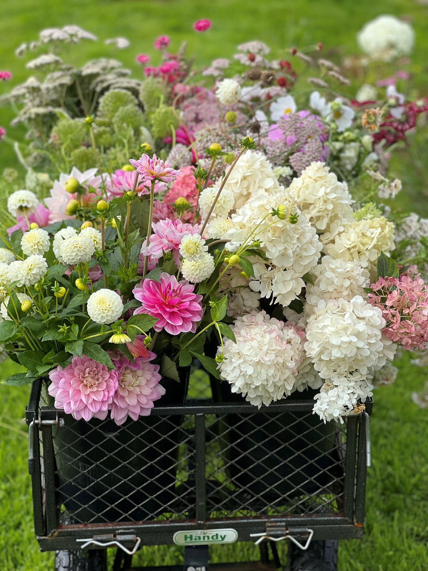 Full Bucket (Seasonal pick)