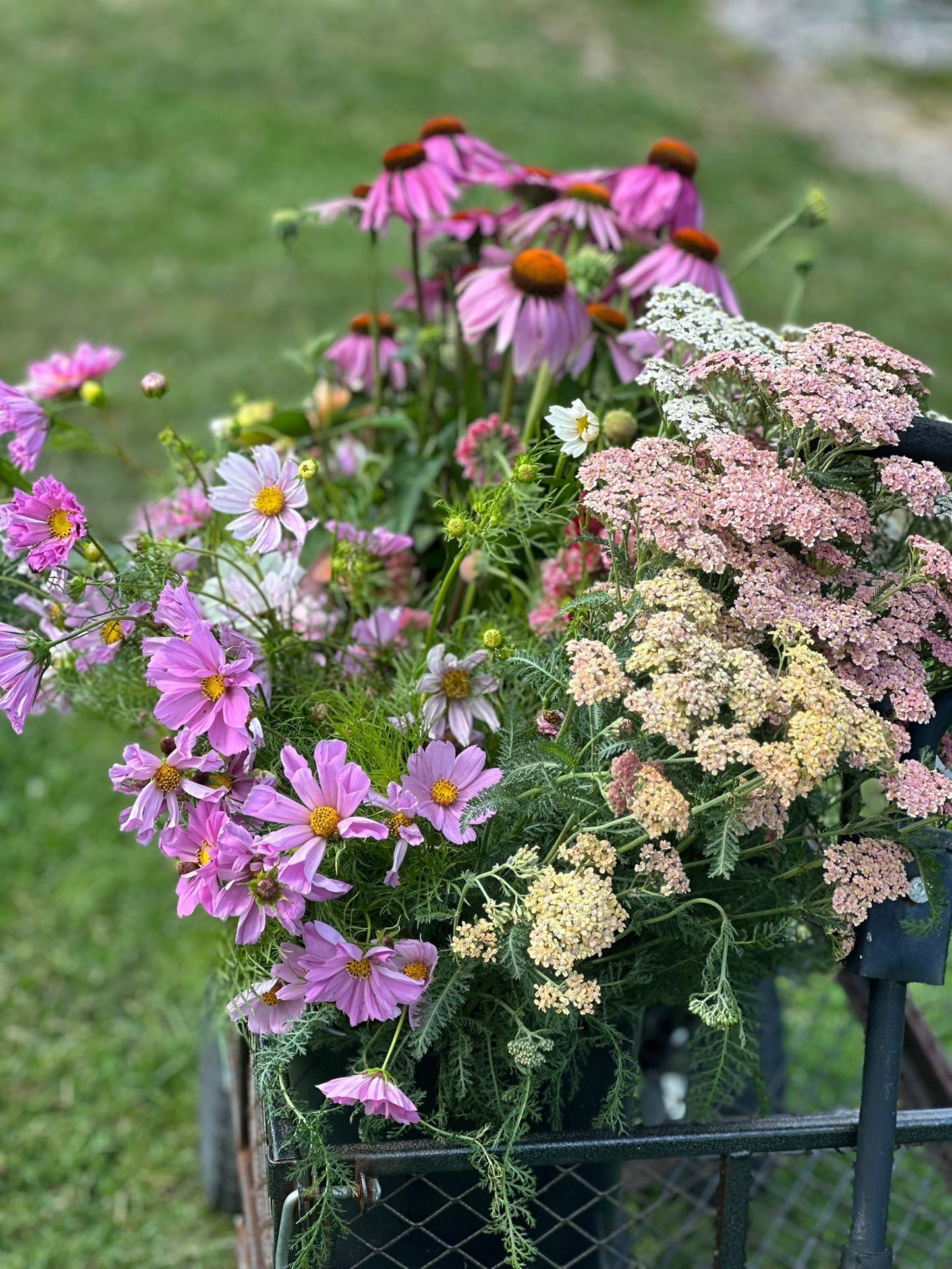 Full Bucket (Seasonal pick)