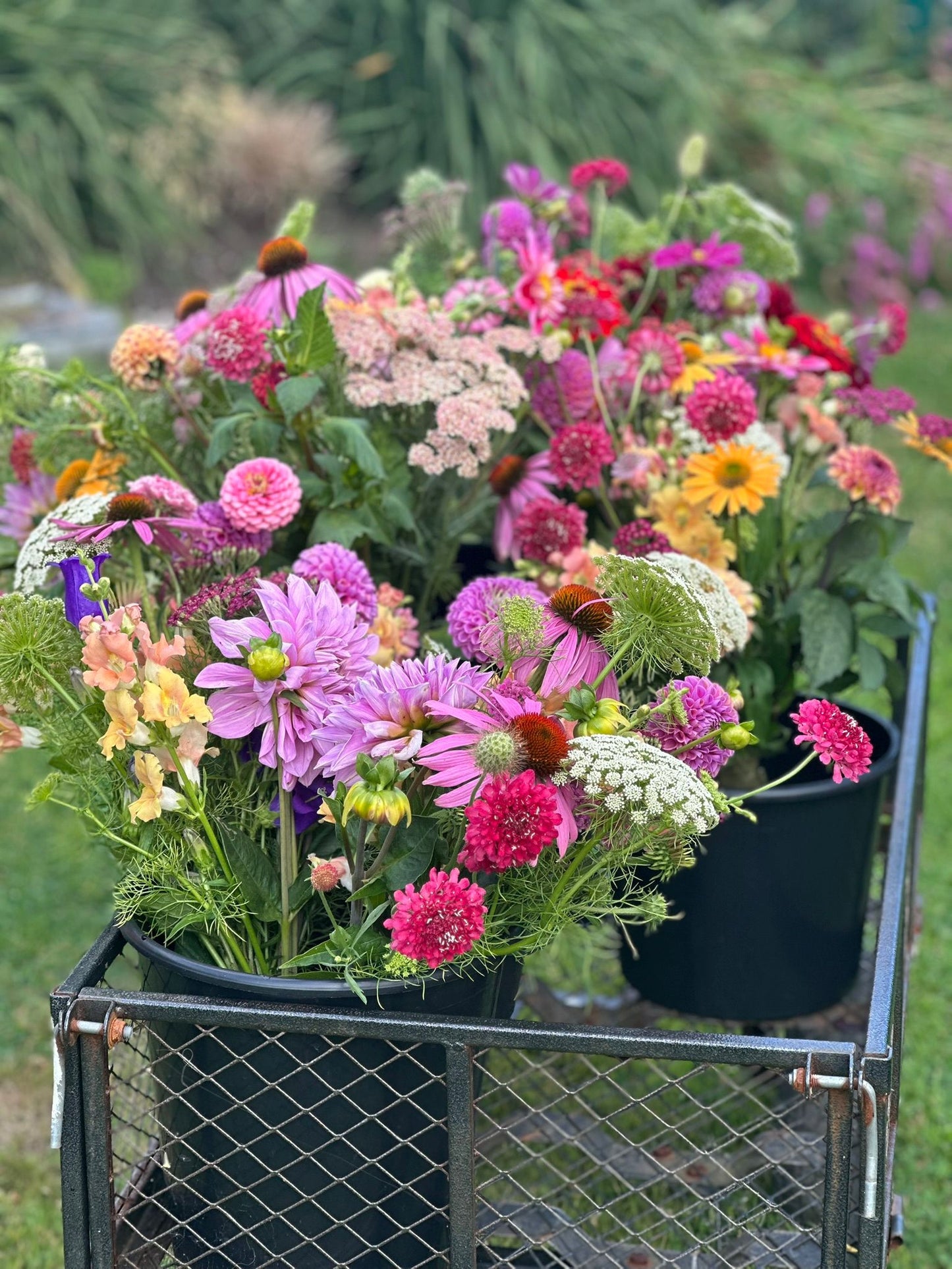 Full Bucket (Seasonal pick)