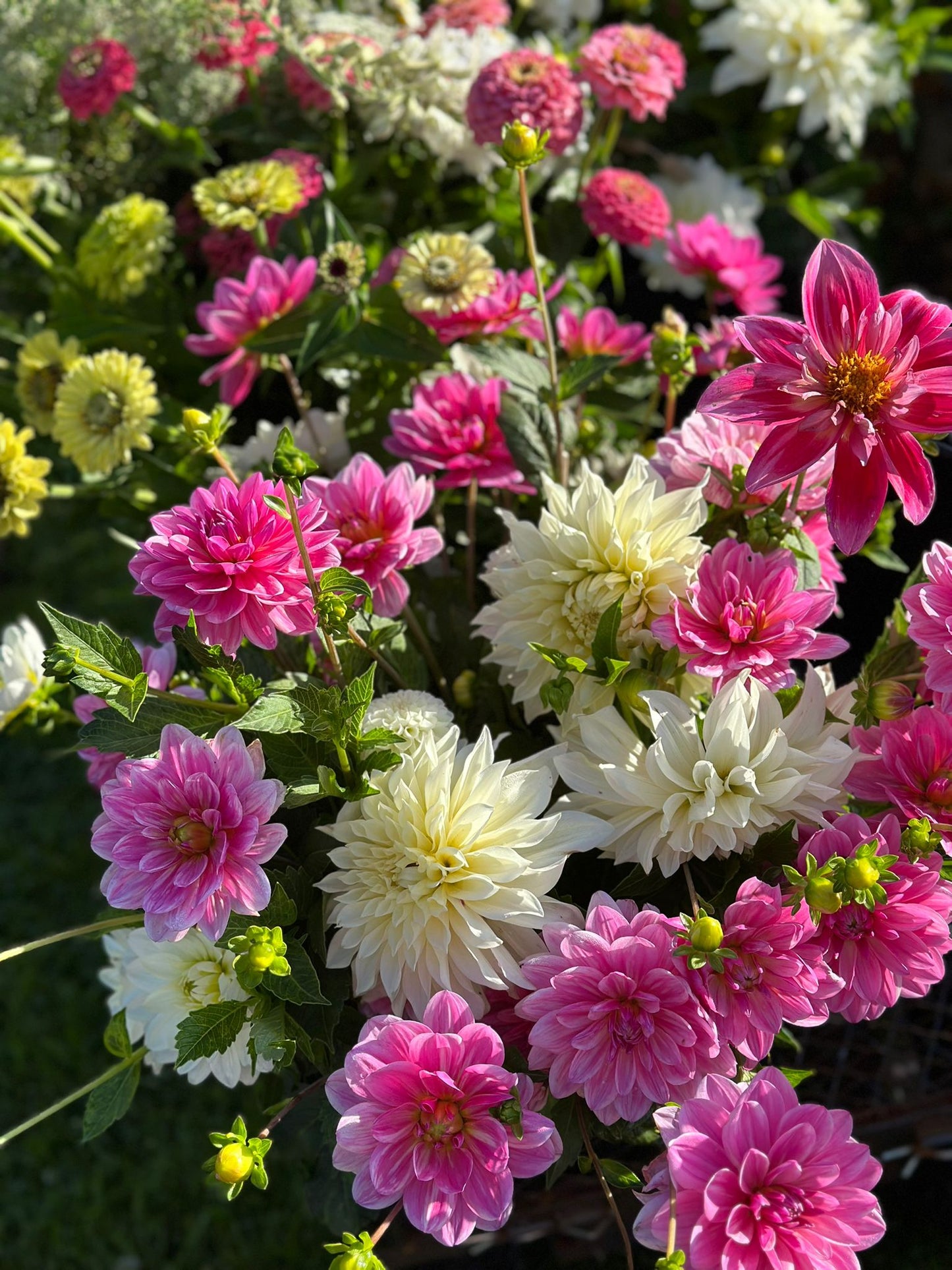 Full Bucket (Seasonal pick)