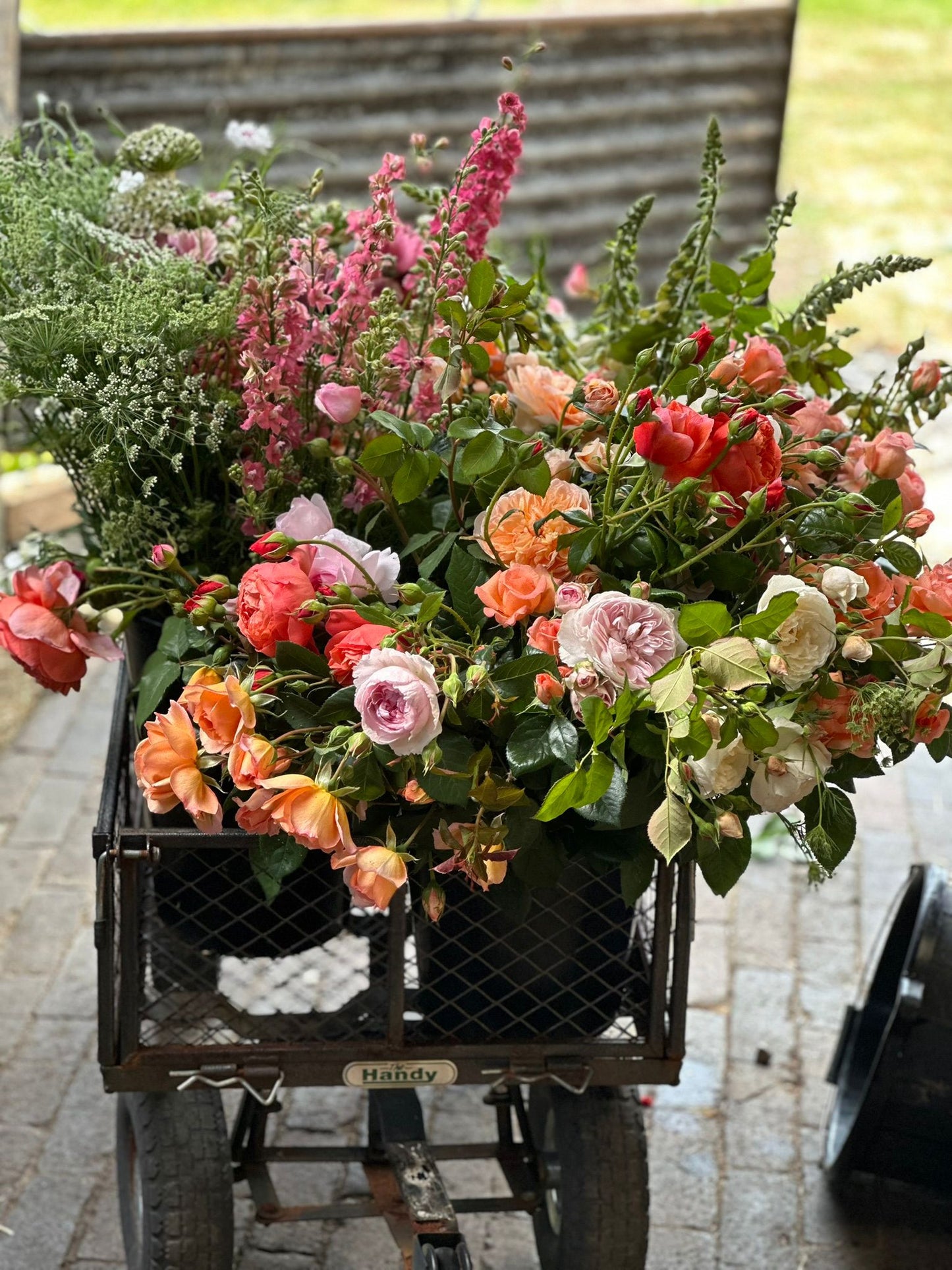 Full Bucket (Seasonal pick)