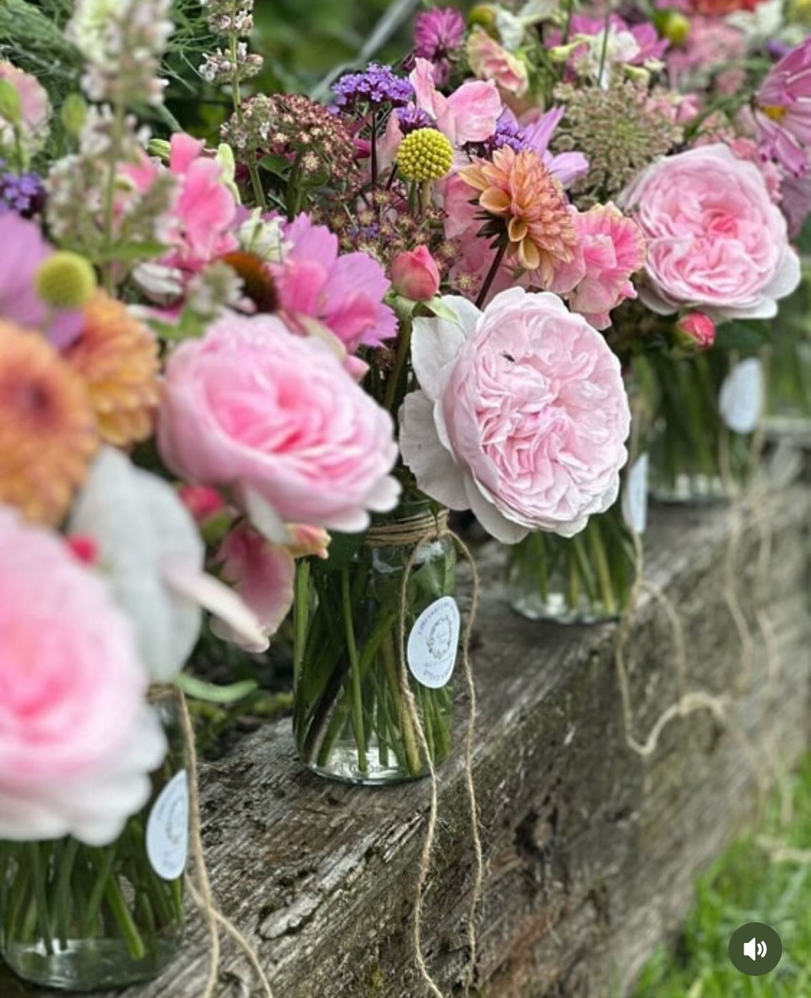 🧁🌸 Frost and Flourish Evening 17th July 2026