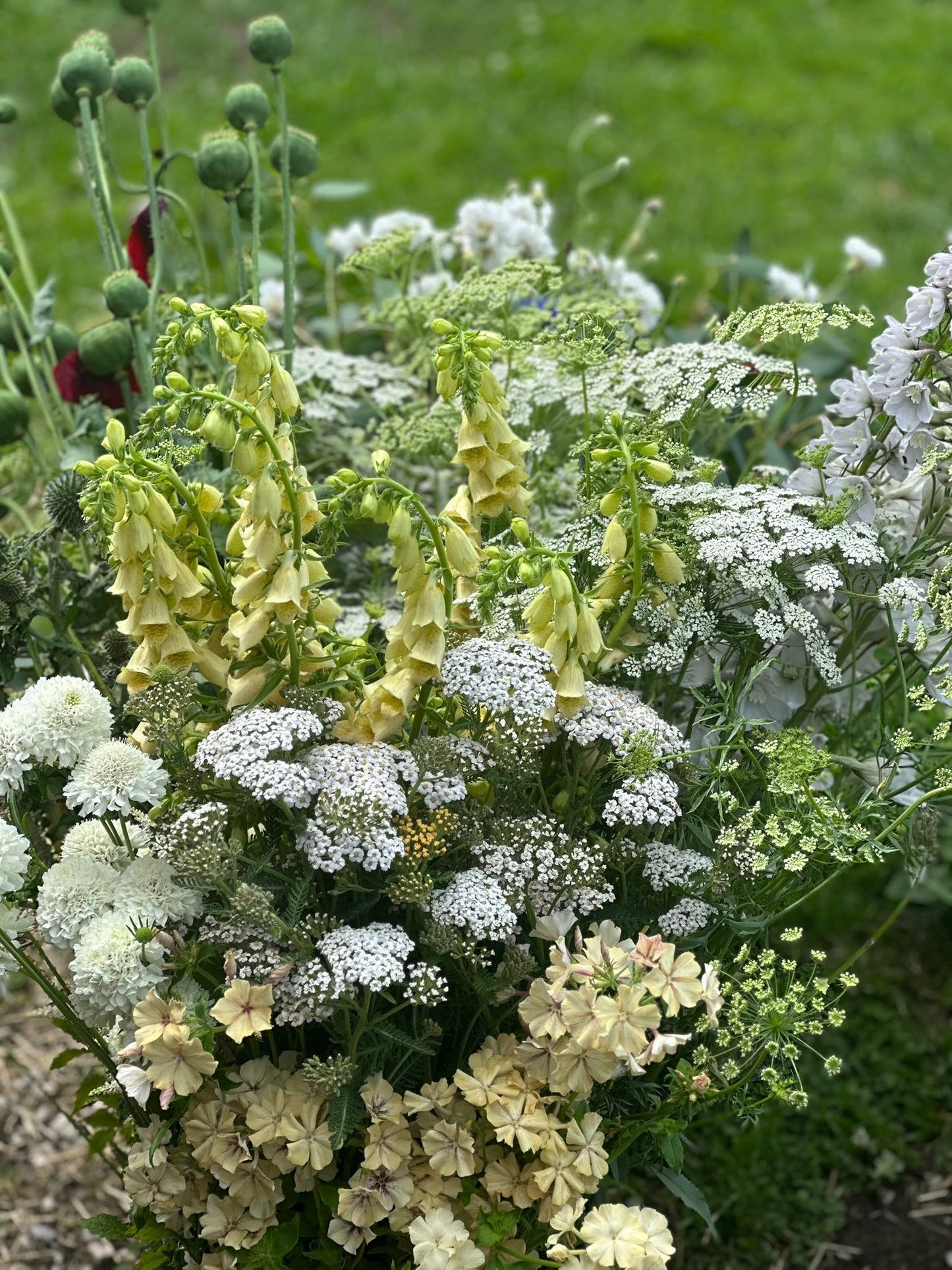 Full Bucket (Seasonal pick)