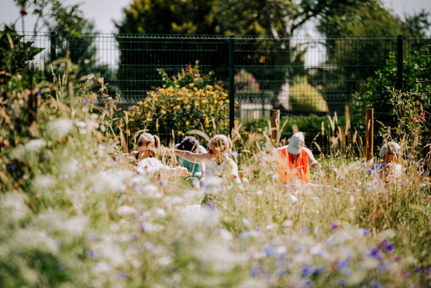 Flowers and Flow Event 7th June 2026