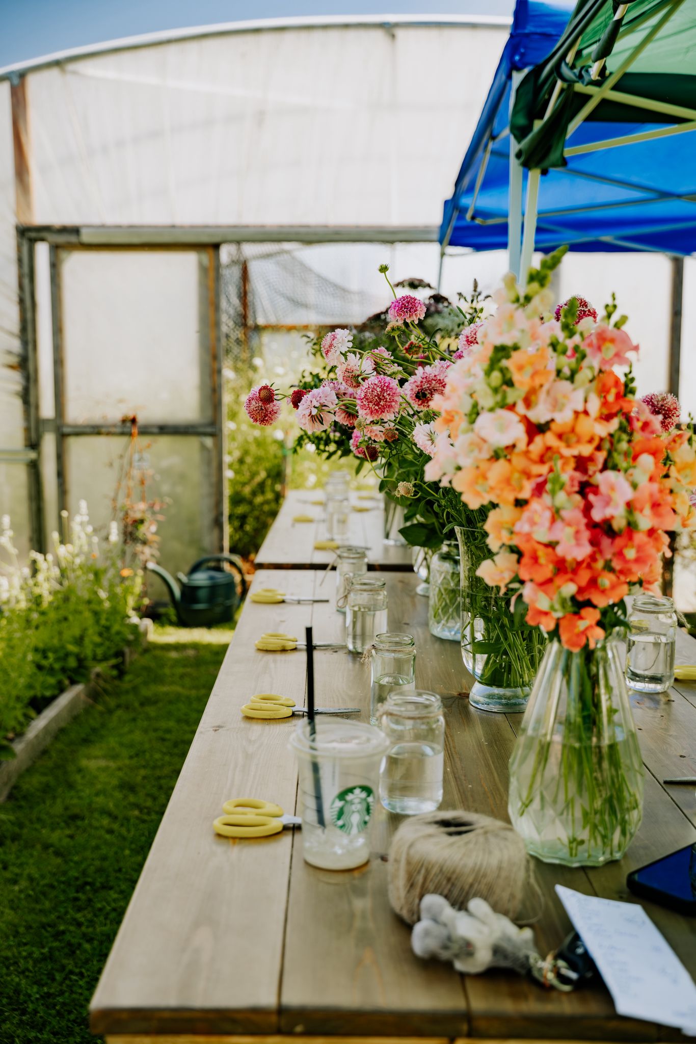 Flowers and Flow Event 7th June 2026